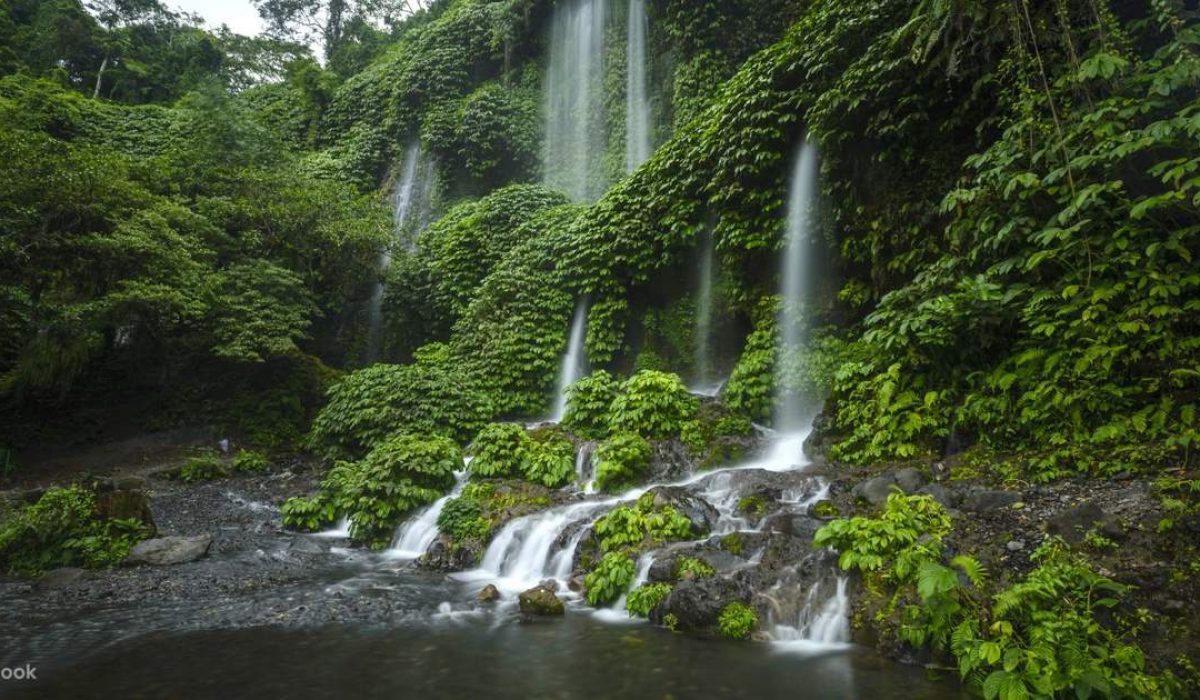 Lombok Waterfalls and Monkey Forest Private Day Tour